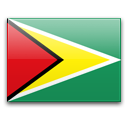 Guyana_flag