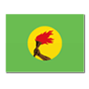 Congo-Kinshasaの_flag